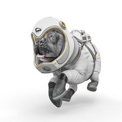 dog the astronaut running fast in white background