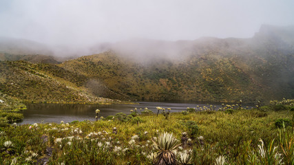 laguna en paisaje natural chingaza © Cristian