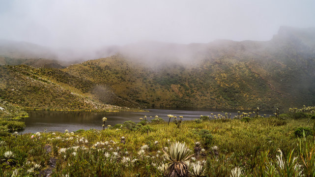 laguna en paisaje natural chingaza