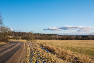 Fototapeta na wymiar Road runs through the fields in winter