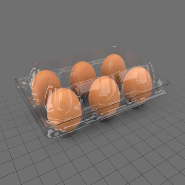 Plastic egg carton 3