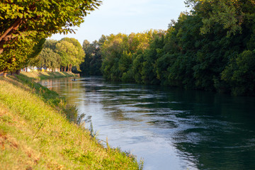 Nature of Sile river in Treviso Italy 