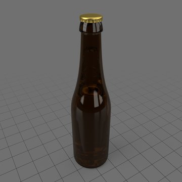 Beer bottle 1