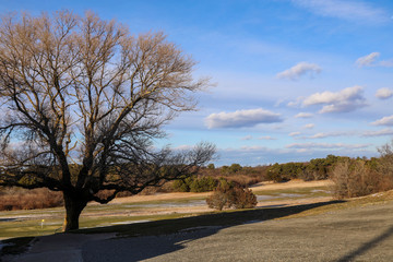 Cape Cod Highland Lighthouse 