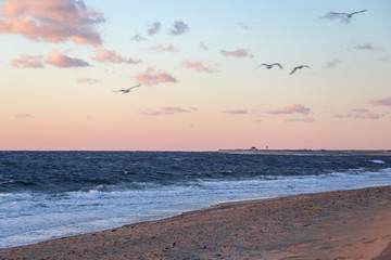 Sunset in Cape Cod - Winter Landscapes