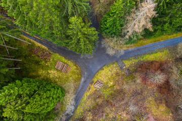 forest paths and wood stacks from above