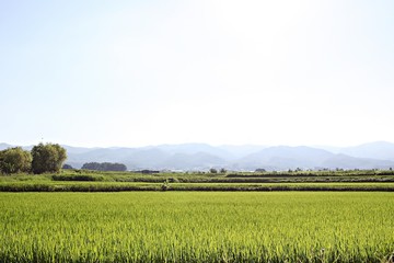 Fototapeta premium 여행중에찍힌것들