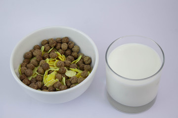 Chocolate cereal and corn flakes with glass of milk