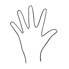 Palm of hand. Vector linear illustration of the palm of a hand. Palm with 5 fingers. Vector freehand drawing in doodle style.