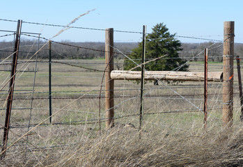 Old Rusty Barbed Wire Fence