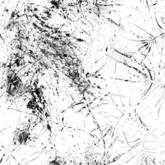 Tropical Leaf. Black White Modern Motif.