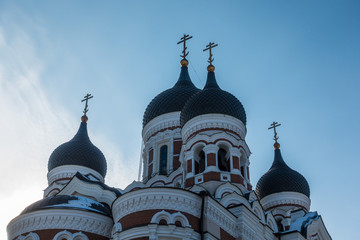 Tallin Cityscape, Estonia