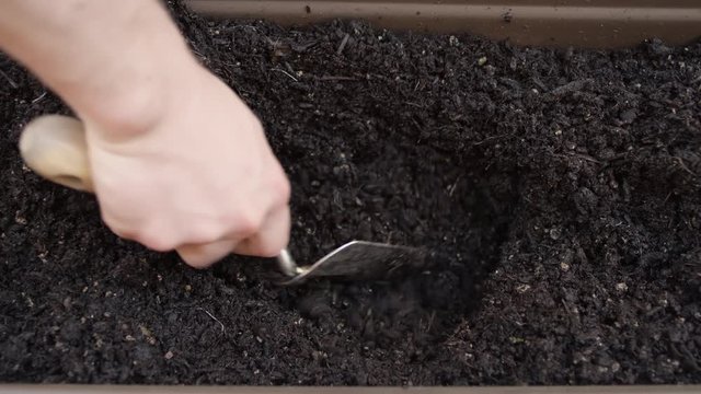 Digging a small hole in the soil with a garden trowel in a planter box