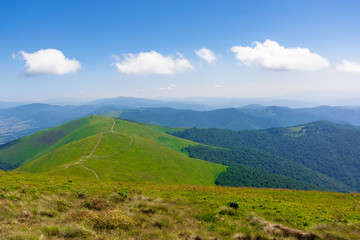 Obraz premium green rolling hills of mountain ridge borzhava. grassy alpine meadows beneath a blue sky with some clouds. beautiful summer landscape of carpathian highlands. sunny weather