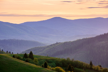 mountainous countryside in springtime at dusk. trees on the rolling hills. ridge in the distance. clouds on the sky. beautiful rural landscape of carpathians