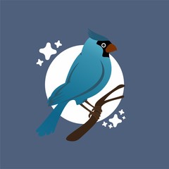 Illustration of Blue Bird Cartoon, Cute Funny Character, Flat Design