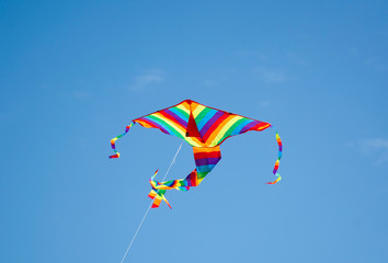 Colorful Kite Flying in the sky, Bondi Beach Sydney