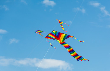 Colorful Kite Flying in the sky, Bondi Beach Sydney