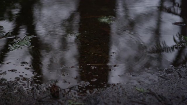 Close-up on a mud puddle on a cloud covered rainy day in nature