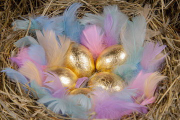 Fototapeta na wymiar Golden eggs with colorful feathers in a nest. Concept easter.