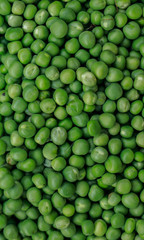 Fresh green pea vegetable stock photos