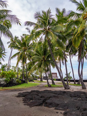Fototapeta na wymiar Puuhonua o Honaunau National Historical Park on the Big Island of Hawaii. 