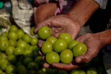 Man holding the gooseberry fruit on hand in street vegetable market, kolkata