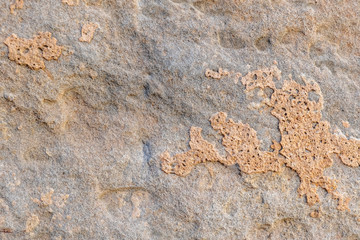 Stone wall with multi color and texture - background