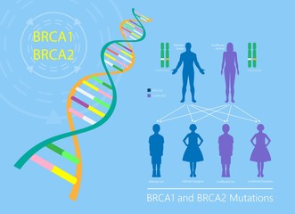 BRCA gene test for breast and ovarian cancer