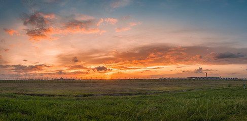 sunset over the field