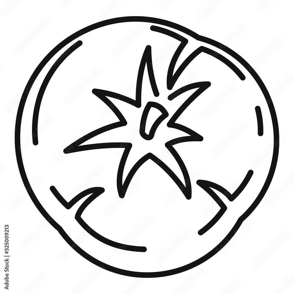 Poster top view tomato icon. outline top view tomato vector icon for web design isolated on white backgroun
