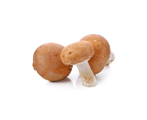 Brown champignon mushroom and rosemary leaves isolated on white background