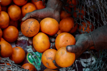 Healthy organic oranges on street market stall