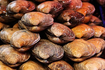 소래포구입니다