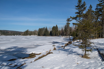 View to the german lake called Oderteich in the region Harz