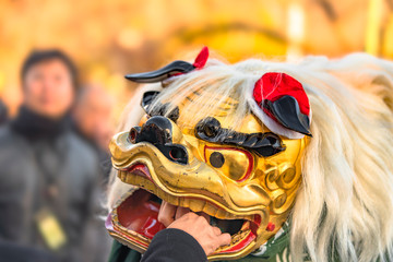 Japanese Shinto worshipers who put a hand in the mouth of a Shishimai lion to offer him money in exchange for happiness during New Year celebrations.
