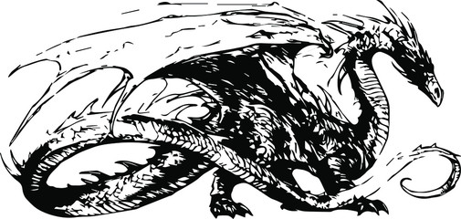 Dragon hand drawn vector illustrations