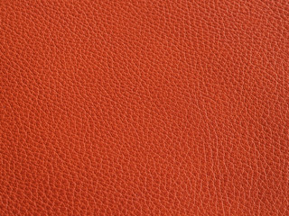 The texture of the skin is red. Background and pattern