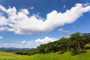 日本・北海道東部の弟子屈町、8月の草原