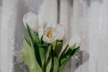 Bouquet of white tulips. Light soft background. Photo in the style of the film.