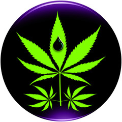 Green Cannabis (marijuana leaves) and black oil drop isolated on black background with clipping path