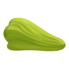 Whole chayote icon. Cartoon of whole chayote vector icon for web design isolated on white background