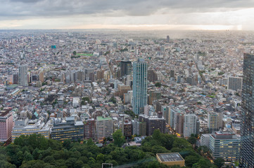 Fototapeta na wymiar Tokyo suburb cityscape aerial with endless urban sprawl and green park