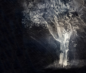 Tree. Pencil drawing on paper