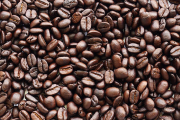 coffee beans background. organic coffee seed