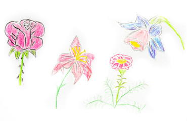 Viele Blumen Zeichnung auf Papier © Animaflora PicsStock