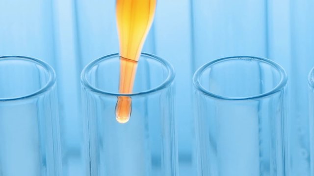 Scientist dropping yellow chemical liquid or essential oil to test tube, Blue tone laboratory. lab chemistry or science research and development concept.
