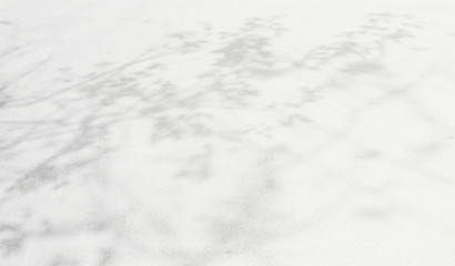 Abstract Shadows, blurred background of gray leaves and natural trees that reflect concrete walls, fallen branches on white wall surfaces for blurred backgrounds and black and white wallpapers.