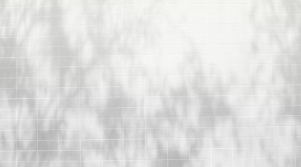 Abstract Shadows, blurred background of gray leaves and natural trees that reflect concrete walls, fallen branches on white wall surfaces for blurred backgrounds and black and white wallpapers.