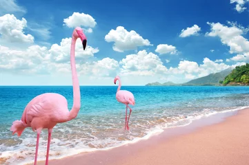 Zelfklevend Fotobehang Prachtig zandstrand met roze flamingo-brids staan in de zee en de helderblauwe lucht volledig met cloudscape © OHishi_Foto